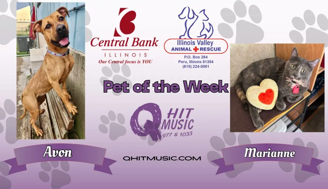 pet-of-the-week-q-hit-6