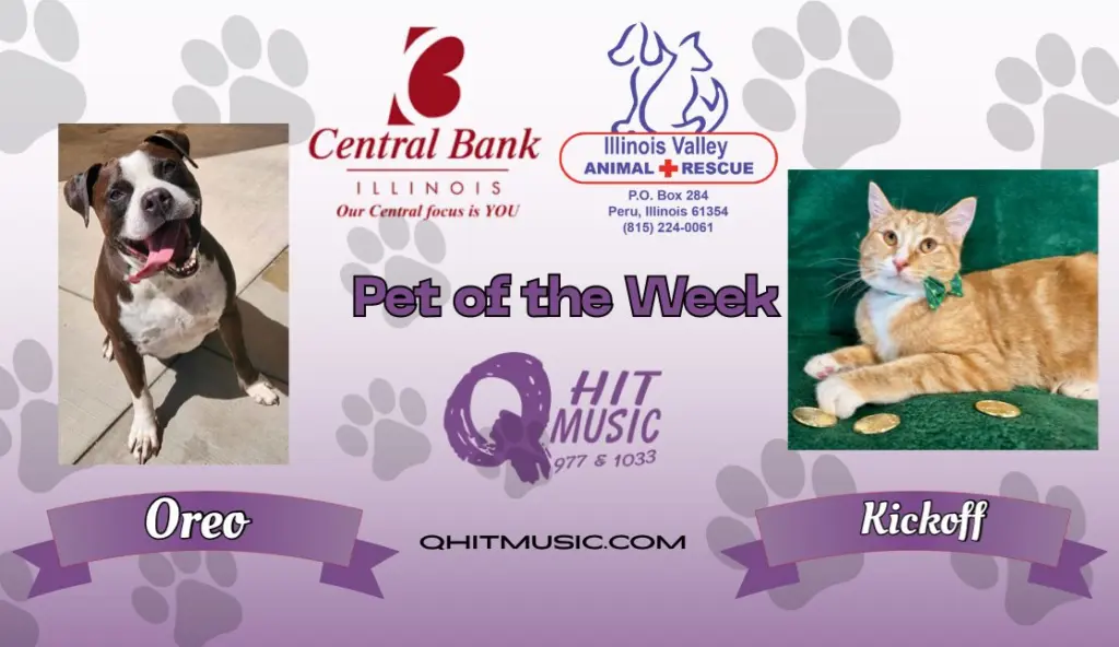 pet-of-the-week-q-hit-7