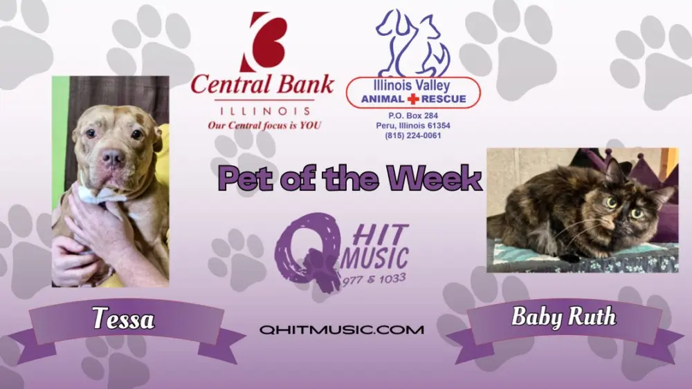 pet-of-the-week-q-hit-8