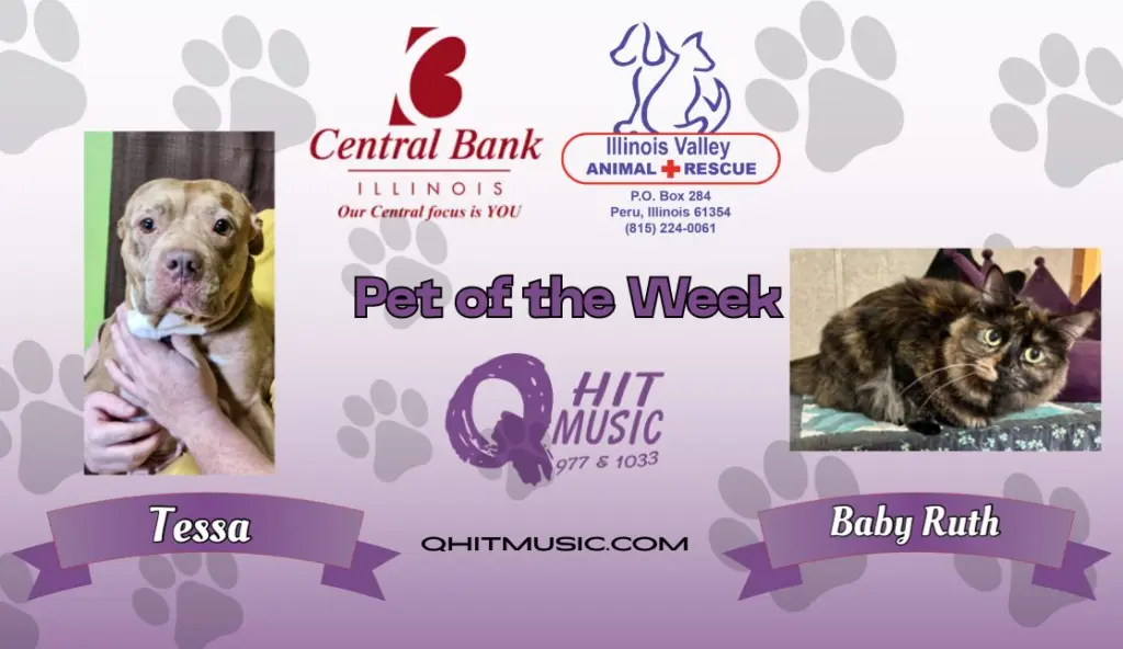 pet-of-the-week-q-hit-8