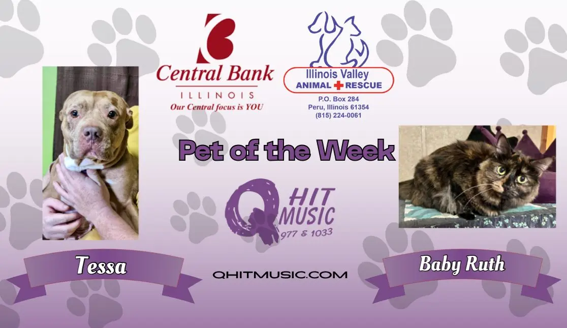 pet-of-the-week-q-hit-8