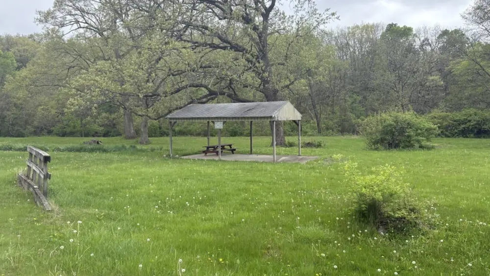 6vi3teppfrbrnktujuwieqdr6q566706