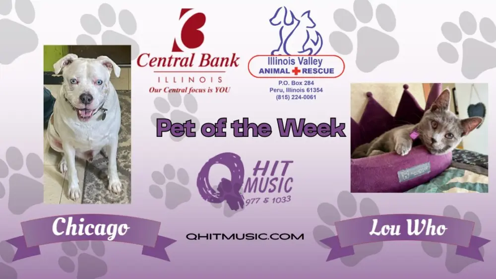pet-of-the-week-q-hit-9