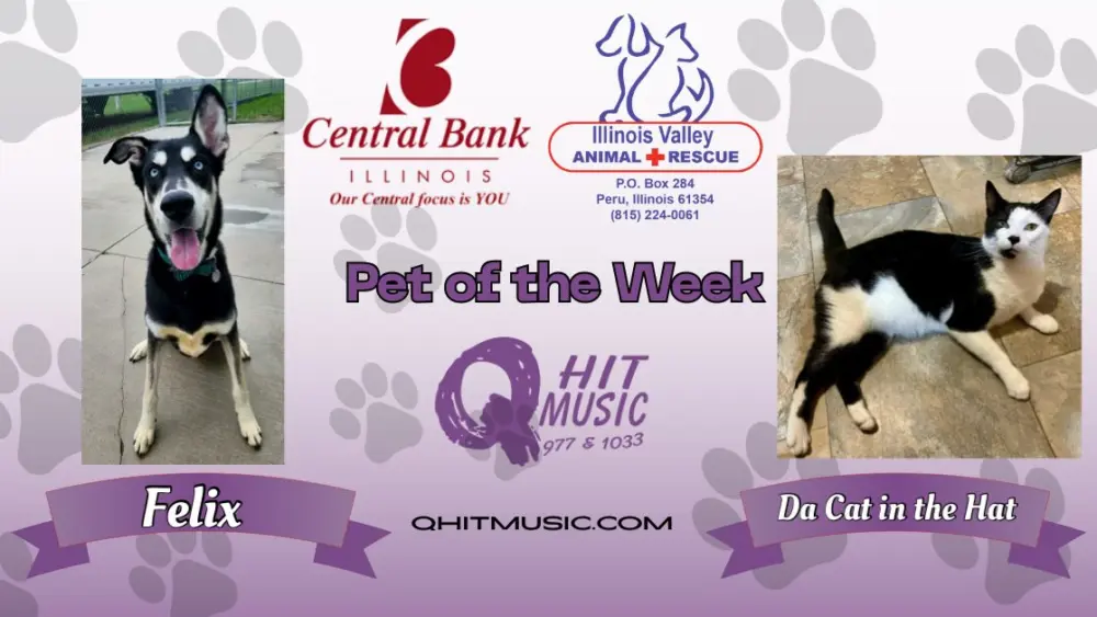 pet-of-the-week-q-hit-11
