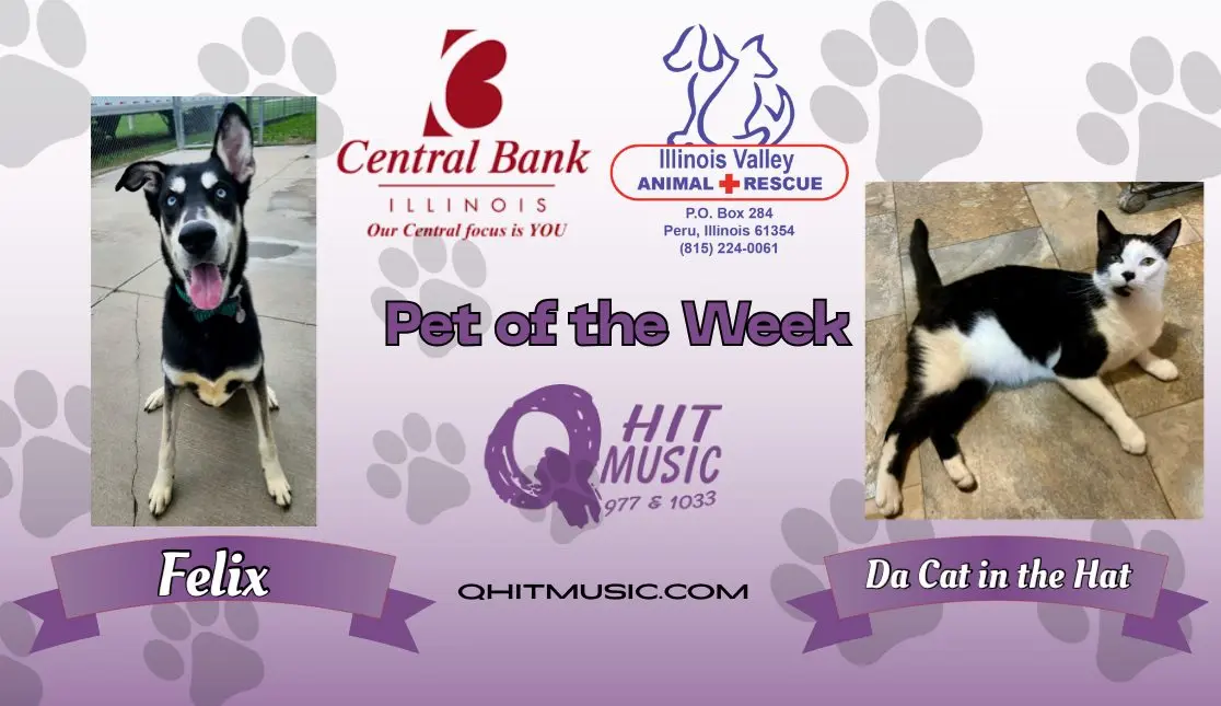 pet-of-the-week-q-hit-11