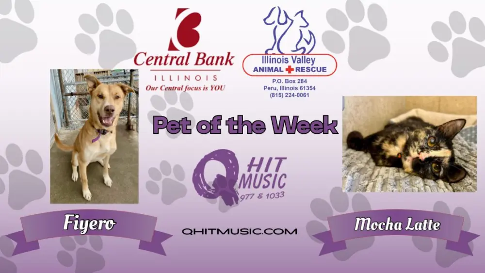 pet-of-the-week-q-hit-12