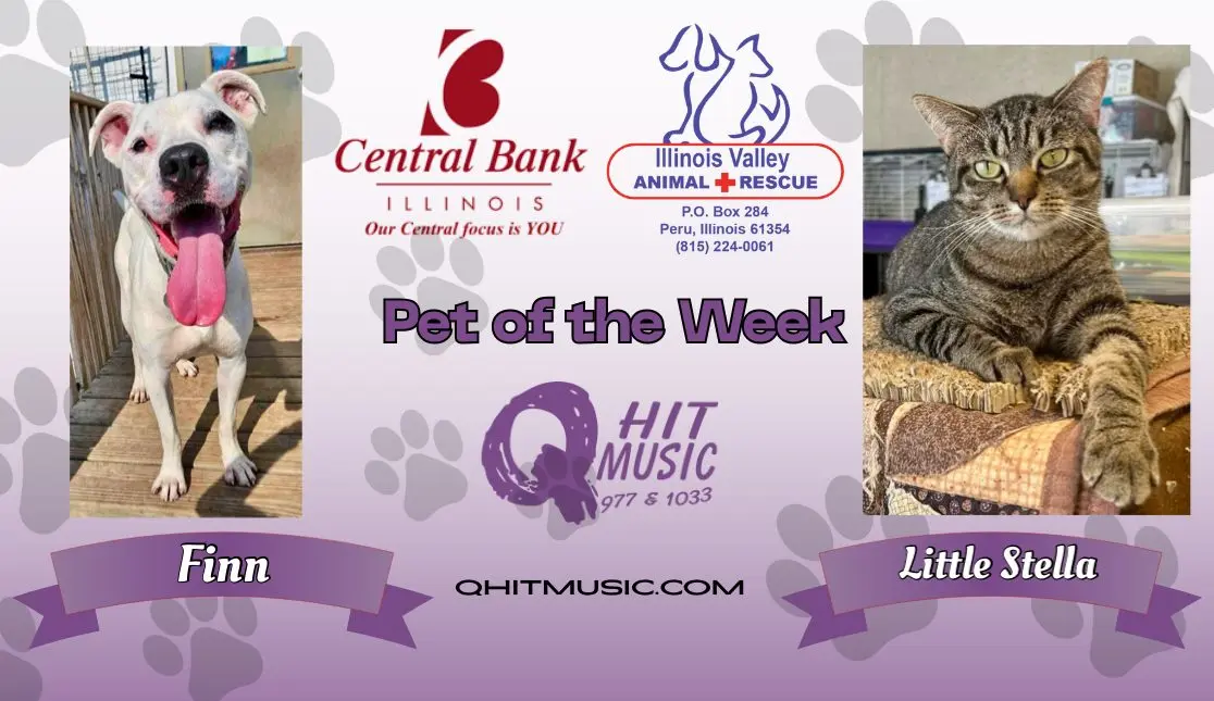 pet-of-the-week-q-hit-18