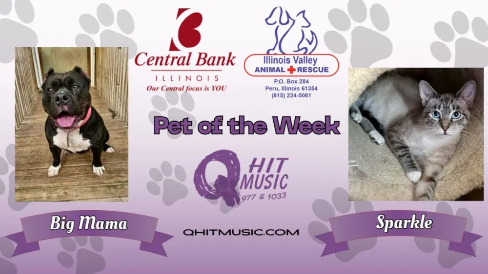 pet-of-the-week-q-hit-20