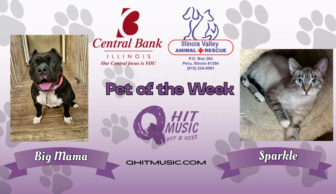 pet-of-the-week-q-hit-20