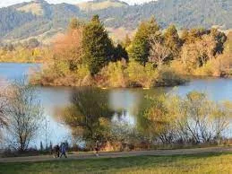 spring lake