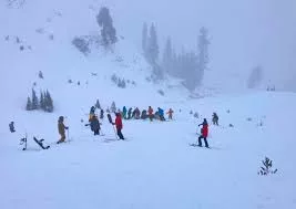 palisades