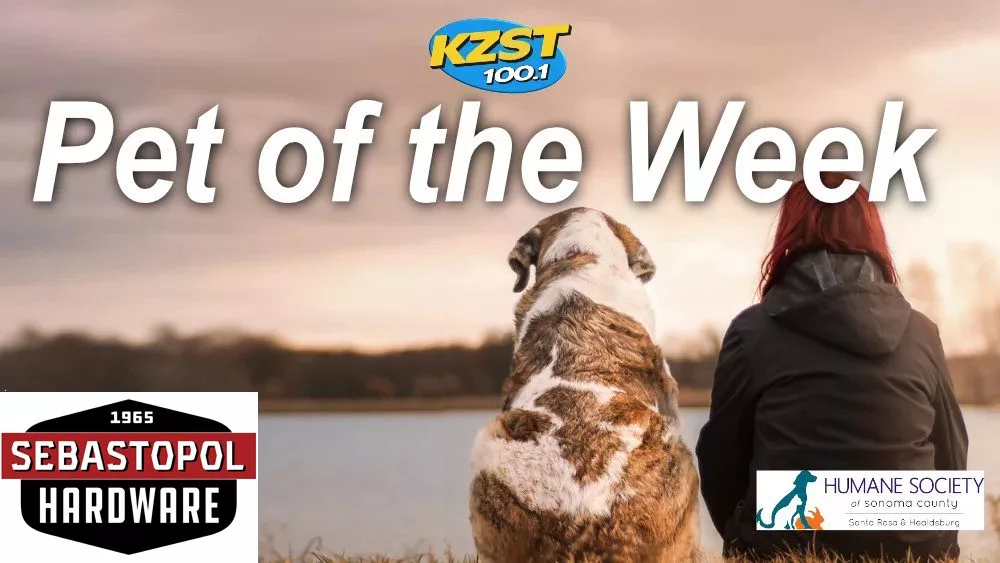 Pet-of-the-week