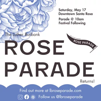 rose-parade-details