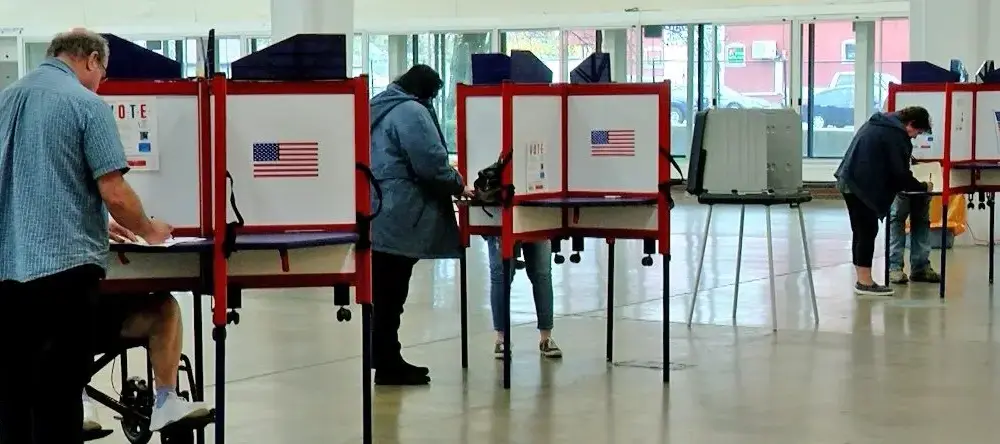 voting-1-cropped-jpg