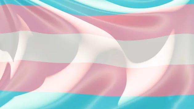getty_5422_transgenderflag295668