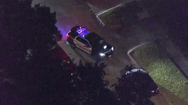 trunk2-ht-ml-231129_1701265171838_hpembed_33x16907758