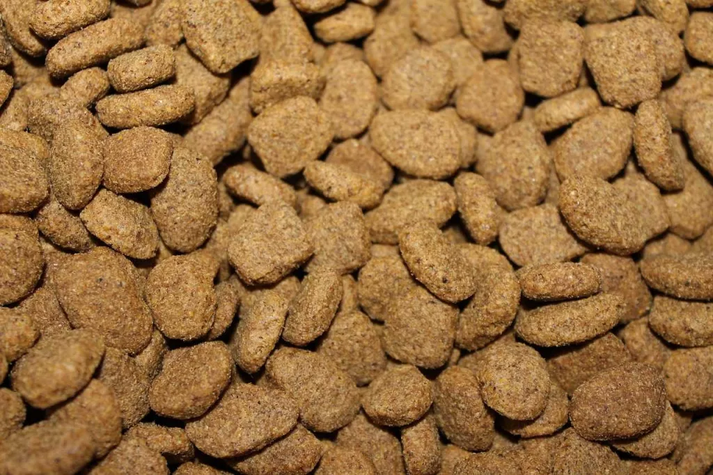 Three types of dog foods sold nationwide recalled over high levels