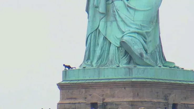 Protester climbs Statue of Liberty, prompting evacuation of the island ...