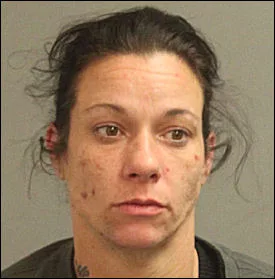 Anne Arundel County Drug Bust | WBAL Baltimore News