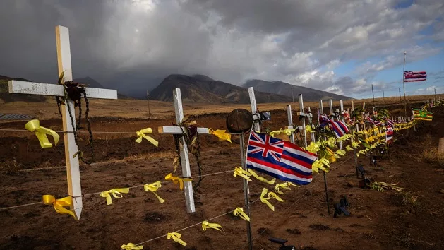 gettyimages_mauimemorial_091923769892