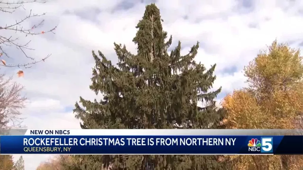 Here's a first look at this year's Rockefeller Center Christmas tree