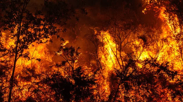 Record-breaking wildfires have occurred all over the Northern Hemisphere  during 2023, new report finds - ABC News