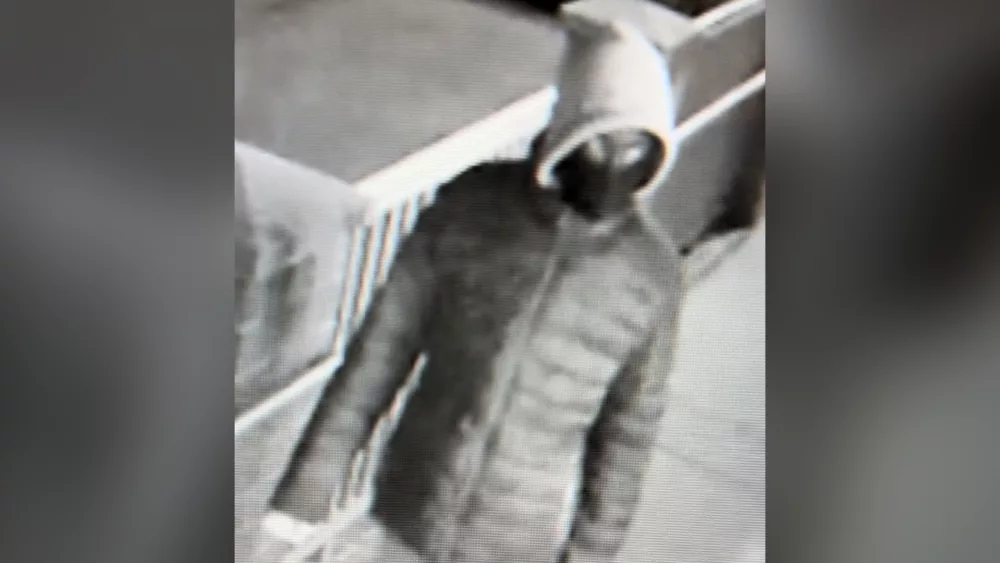 Suspect Photo