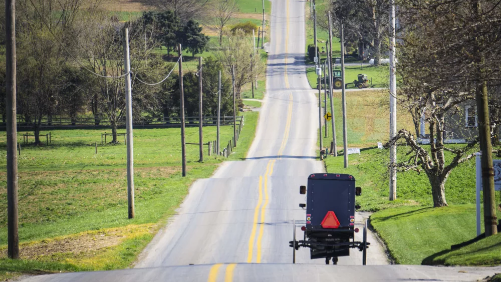 Amish Buggy - Lancaster