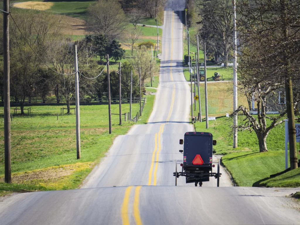 Amish Buggy - Lancaster