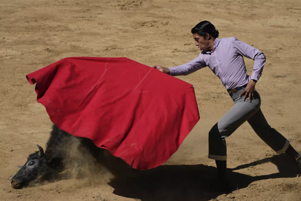 Bullfighting resumes in Mexico City before a full crowd while activists