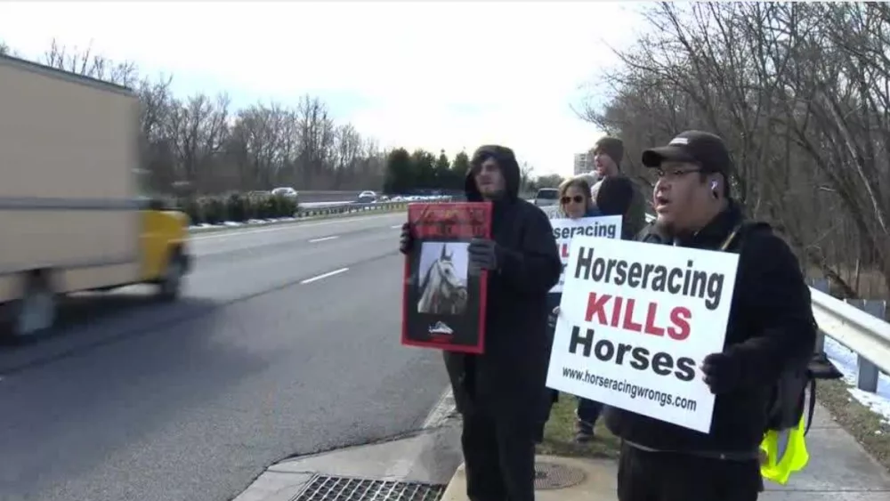 Horse and animal rights advocates gathered Saturday afternoon at Laurel Park to protest deaths of horses at Maryland racetracks. The group "Horseracing Wrongs" claims 27 horses were killed racing last year. Horseracing Wrongs said no laws were broken in the horse deaths.