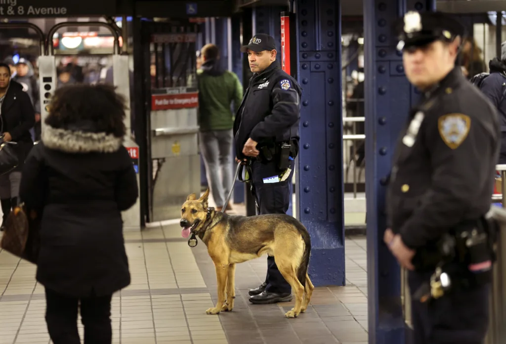 NYC_Subway_Policing_73861.jpg