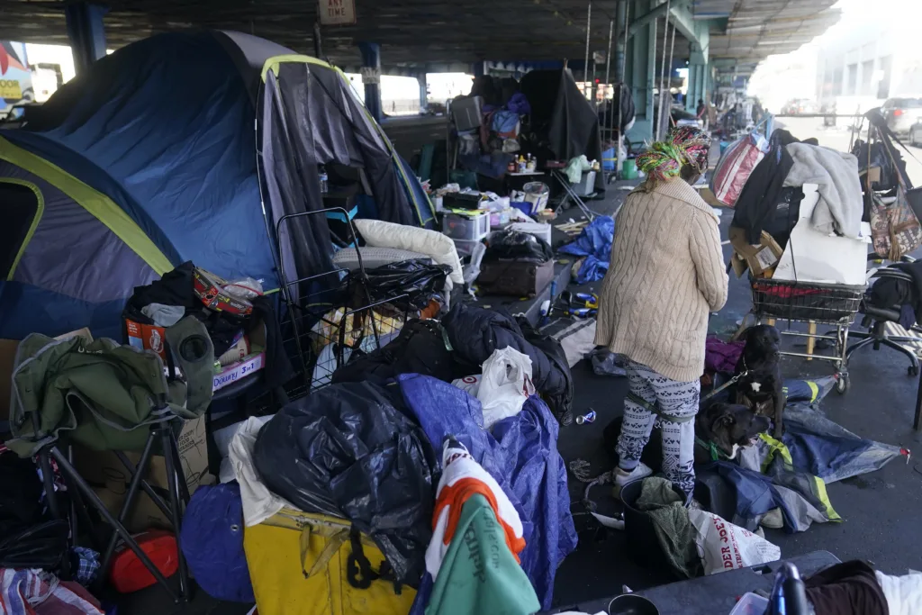 Record numbers in US are homeless. Can cities fine them for sleeping in parks - Vimarsana News