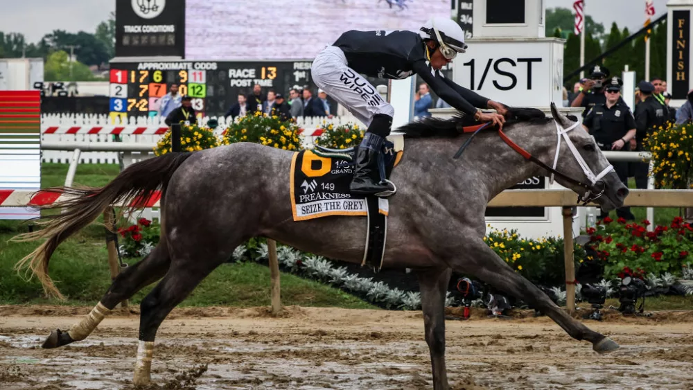 Jockey Jaime Torres riding Seize the Grey #6 wins the 149th running of the Preakness Stakes