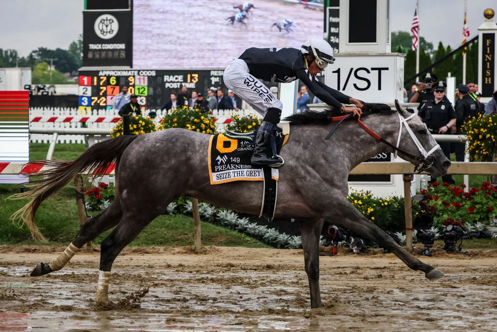 Jockey Jaime Torres riding Seize the Grey #6 wins the 149th running of the Preakness Stakes