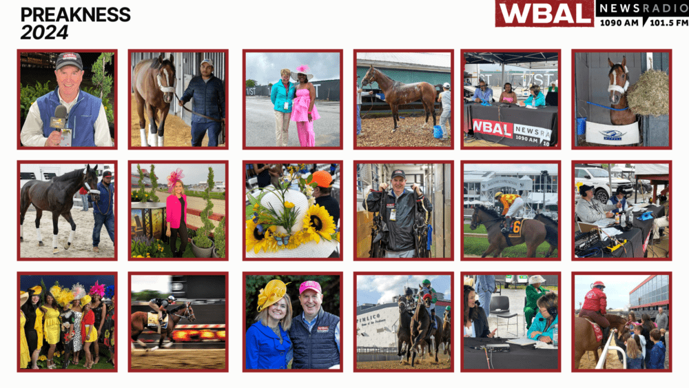 Photos: 149th Preakness Stakes horses, celebrations