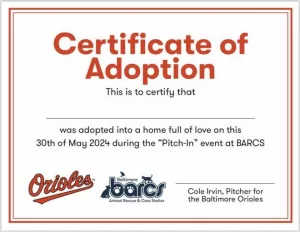 Hearst Owned BARCSBARCS Adoption Certificate