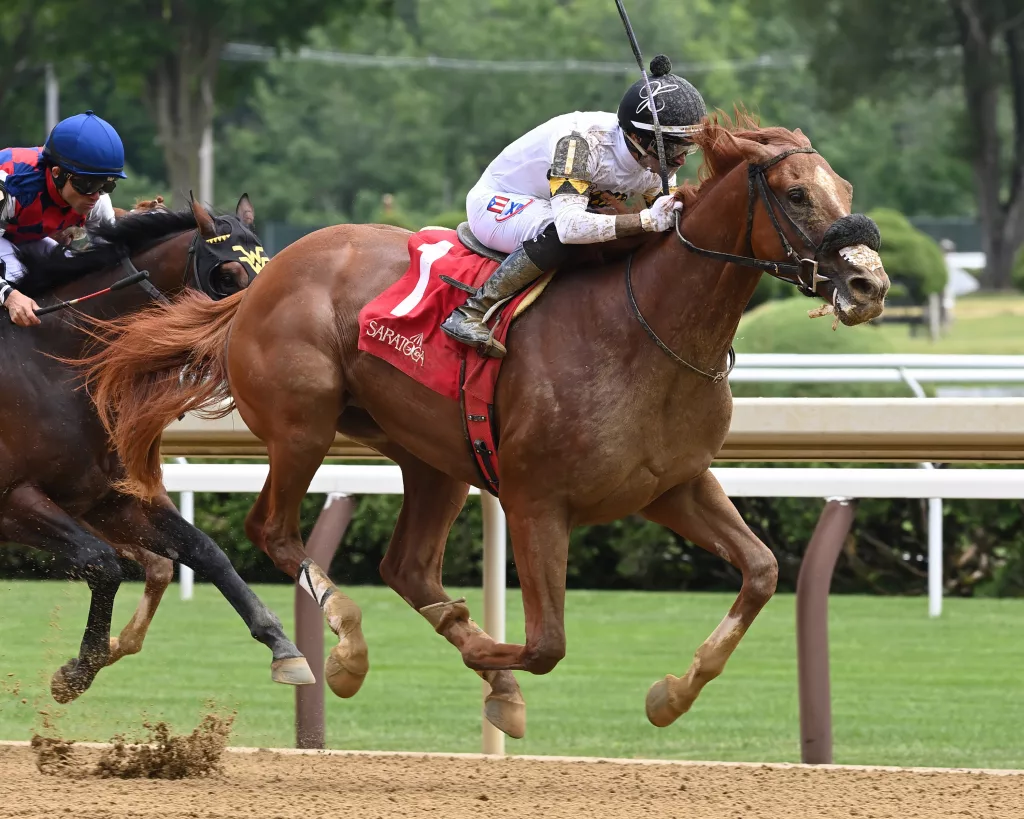 Studlydoright winning at Saratoga with jockey Xavier Perez