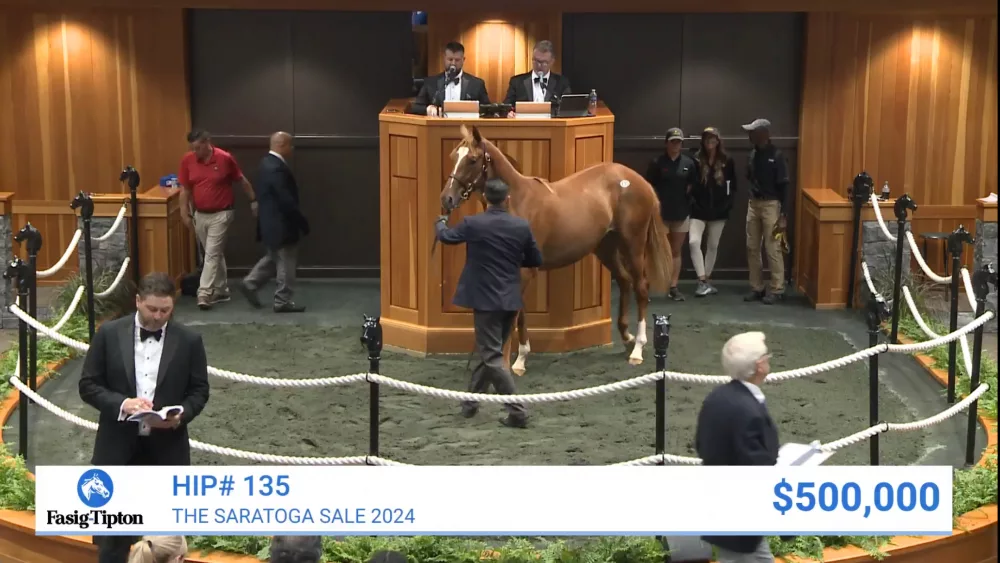 Northview Fasig Tipton Sale 2024