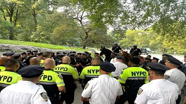 nypd_082224_nypdincentralpark838572