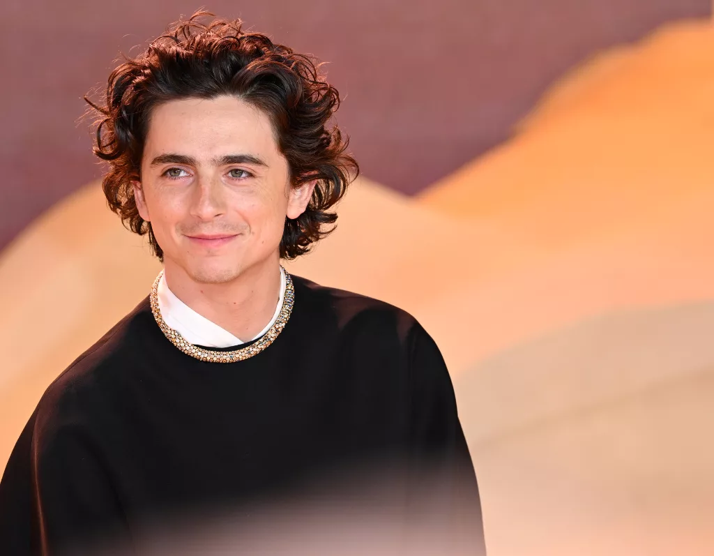 getty_timotheechalamet_12032444698