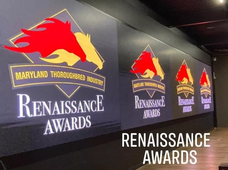 Renaissance Awards