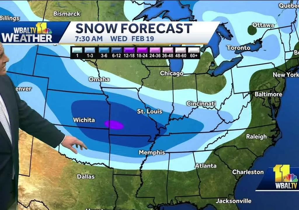 early tarvel forecast