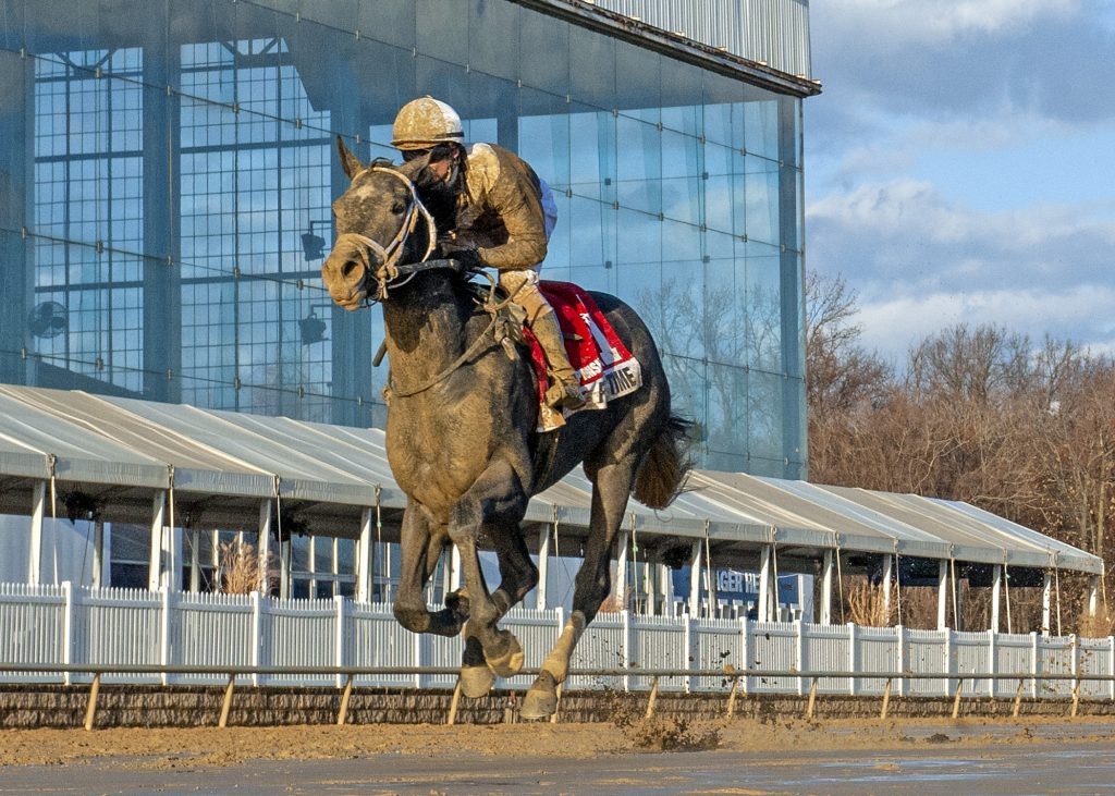 MD-bred horse racing champions and breeders crowned