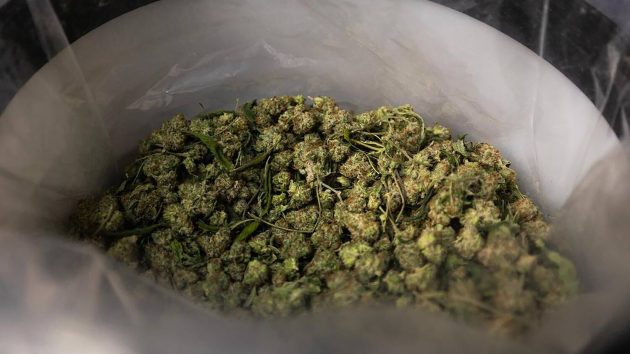 President Trump says his administration looking at reclassifying marijuana