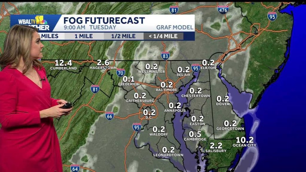 Foggy Tuesday morning will give way to a milder afternoon in the Baltimore area