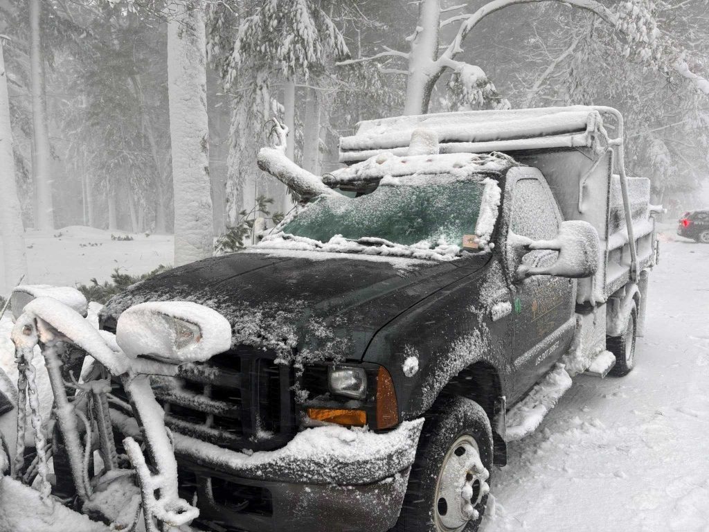 Tree branch smashes through truck windshield in Massachusetts, lands between driver’s legs
