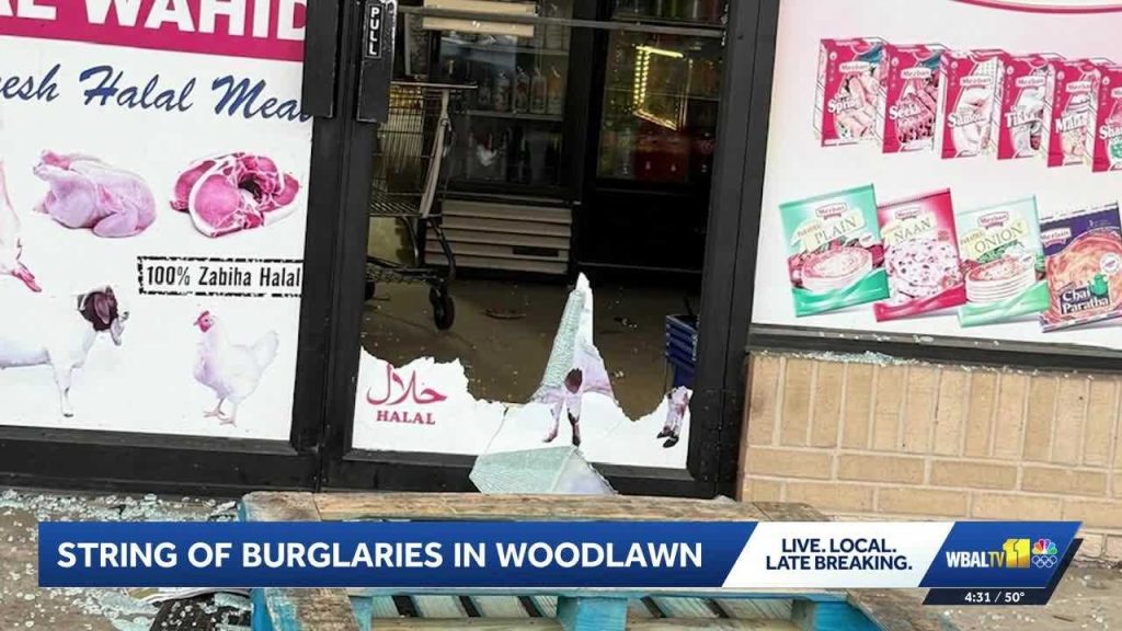 4 Security Plaza Shopping Center businesses burglarized
