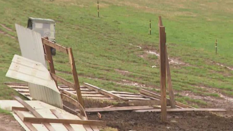 Cows scattered after storm blew roof off building in Carroll County, farm worker says
