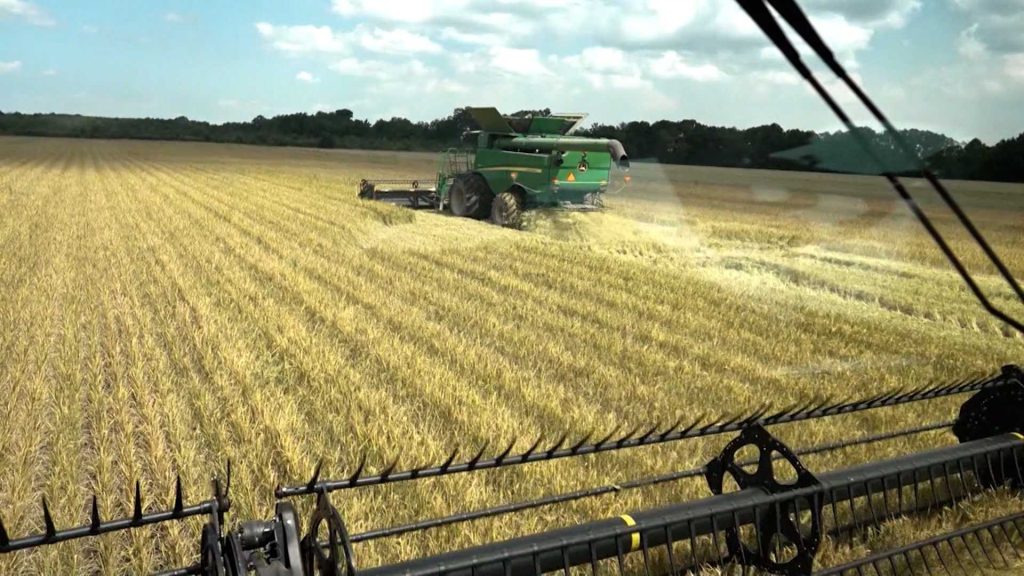 Maryland farmers seek federal relief after April frost